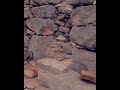 غمضاء