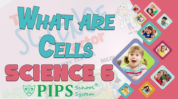 Grade 6 Science Lecture no 1 What are Cells by PIPS School System Hafizabad
