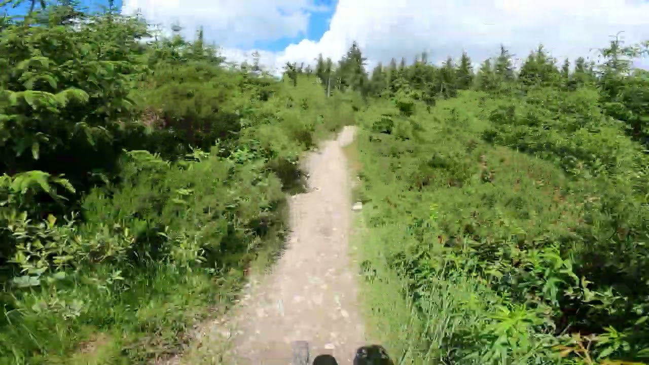 Boardwalk at Llangdegla