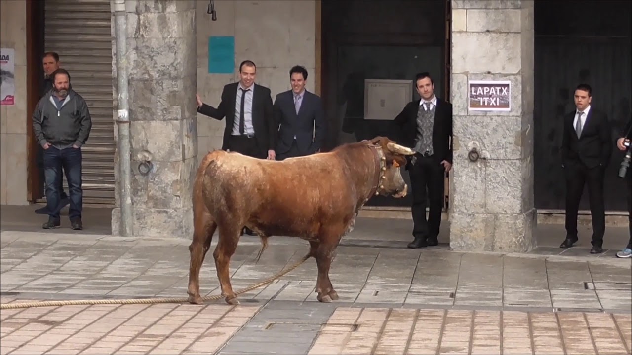 Azpeitiko sokamuturra. Karnabalak 2016 - Elegante eguerdia, sokamutil ohiak (otsailak 7)