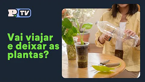 Como molhar as plantas durante a viagem?
