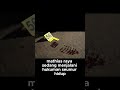 Plot Twist! Pelaku Asli Mengaku Setelah 13 Tahun Kemudian