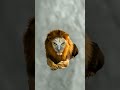 Sher ko jo Rote ka use Rs 500 Milenge Magar subscribe bhi karna padega