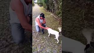 Conversa Particular Fernando TQL (Clipe Oficial)