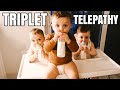 Triplet Baby Telepathy. In Sync Bottle Feedings | Daddy Daughter Date Gone Wrong (Got Kicked Out)