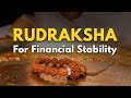 Rudraksha for wealth and financial stability   rudralife