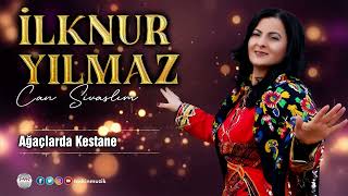 İlknur Yılmaz  / Ağaçlarda Kestane Resimi