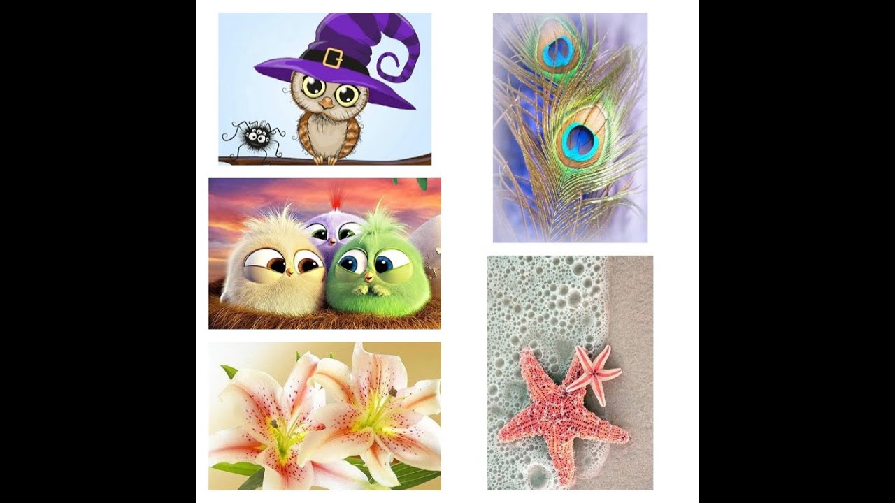 Diamond Painting UNBOXING Everydayedeals 5 Kits - YouTube
