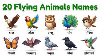 20 Flying Animals Names for Kids | English &amp; Hindi Learning | Birds &amp; Flying Creatures Vocabulary.