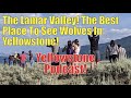 The Lamar Valley! The Best Place To See Wolves! Yellowstone Podcast