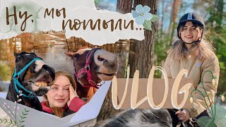 VLOG|💩весна пришла|плац уплыл|разведка леса после зимы