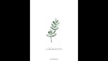 مقاطع آيات (سورة الرعد)