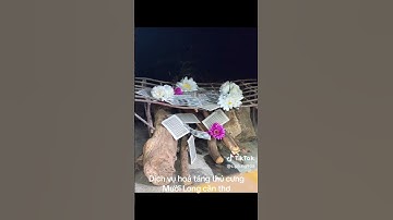 Dịch vụ hỏa táng thú cưng: Chó, Mèo,..tại Cần Thơ và các tỉnh. ĐT: 0901014287 (Mười Long)