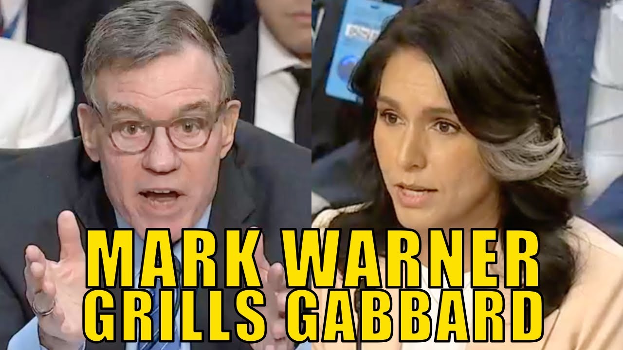 Sen. Warner Grills Tulsi Gabbard On Pete Hegseth's Signal App Leak