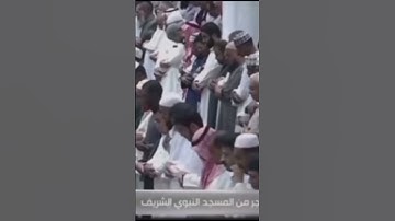الشيخ احمد طالب ألم تر كيف ضرب الله مثلا كلمةً طيبةً اصلها ثابت🤍. تلاوات الحرمين