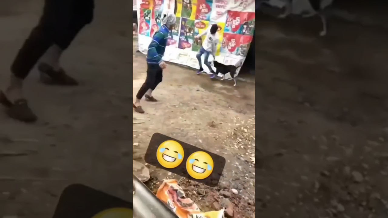 कुत्ते ने दौड़ाकर काट लिया kutte ne kat liya 😱😱