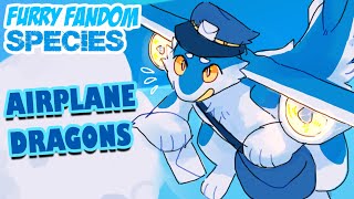 AIRPLANE DRAGONS - Furry Fandom Species