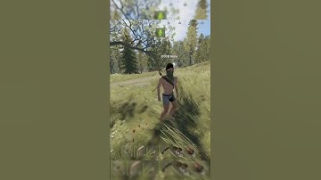 The Inevitable Betrayal in Rust...