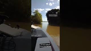 arroyo caducó Goya corrientes argentina