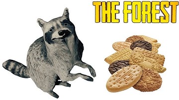 Beginners Guide 2019 Part 4 - General Tips & Tricks | The Forest