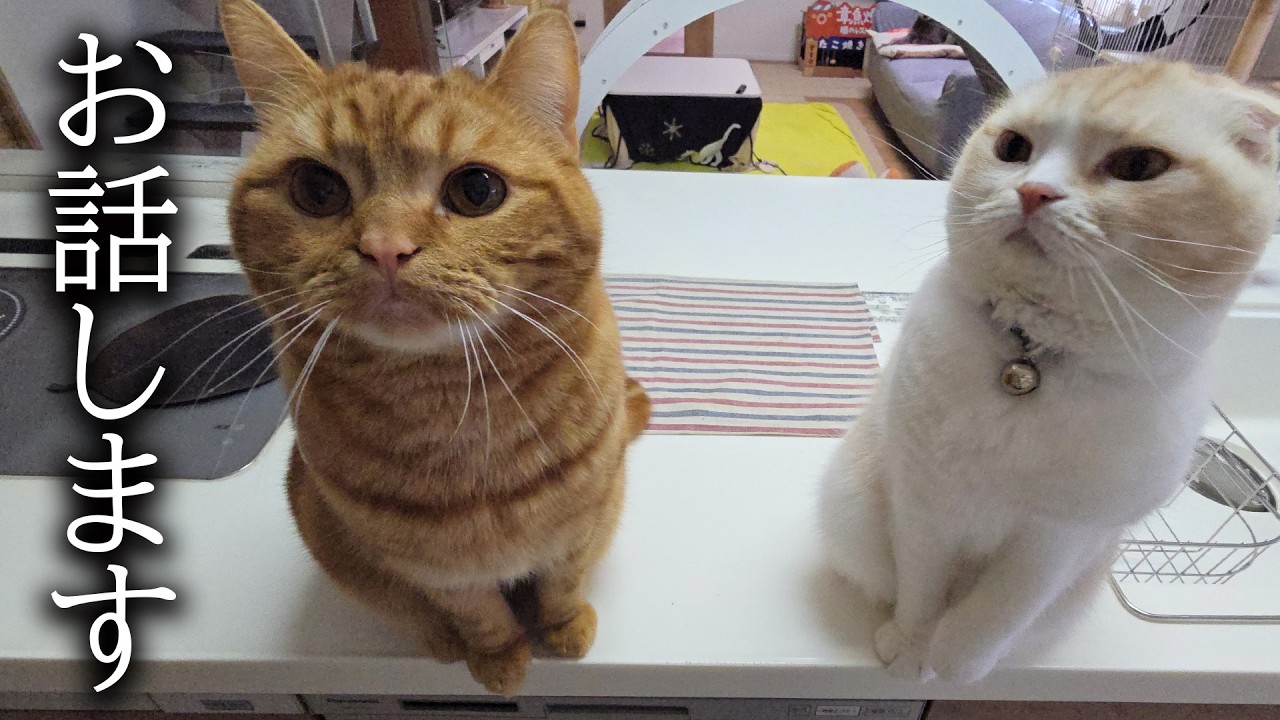 非常に悔しく残念なことが...