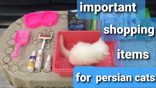 Shopping before buying persian cat or kitten | Important persian cats accessories | Urdu | Hindi