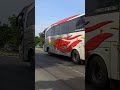 Bus Bintang utara jalan santai dim cantik