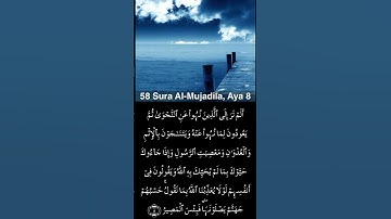 القرآن الكريم سورة المجادلة اية ٨ ياسر الدوسري