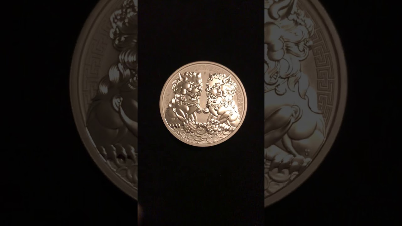 double pixiu silver coin double pixiu silver coin