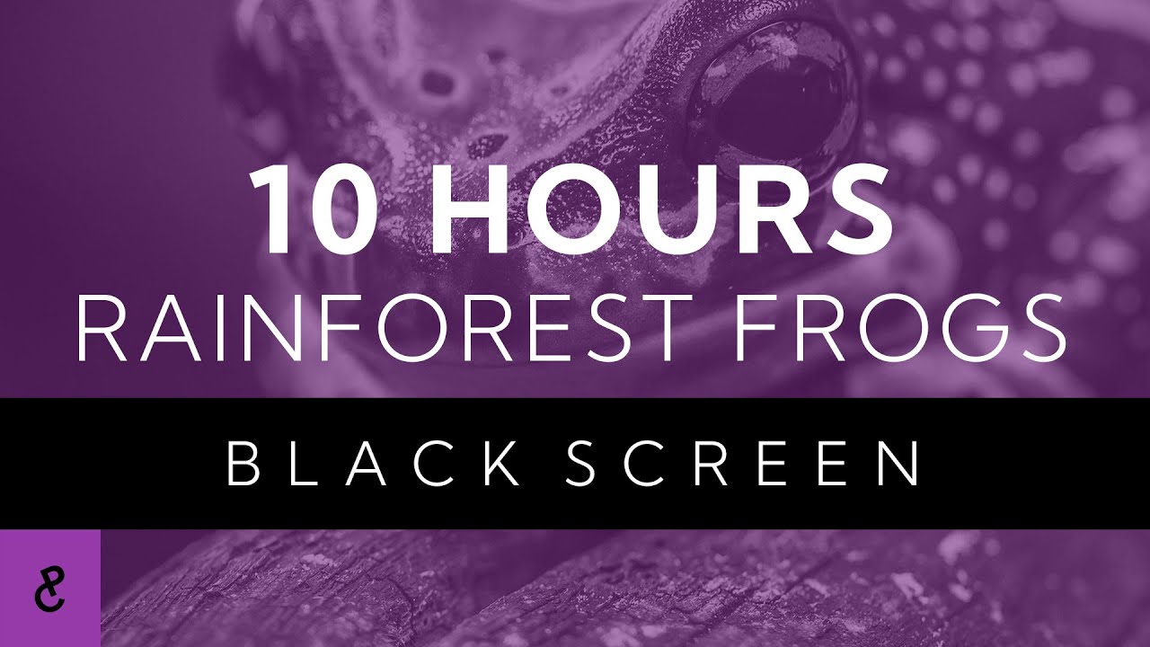 10 Hours Rainforest Frogs Croaking Sounds BLACK SCREEN | Relaxing Noise ...