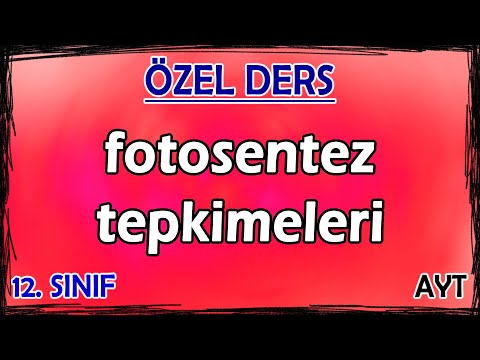 9) Fotosentez Tepkimeleri - Özel Ders (12. Sınıf)