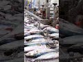 How Canned Fish Is Made Fish Processing Factory #subscribe #viral #shortvedio From Ocean to Can