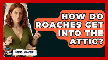 How Do Roaches Get Into The Attic? - Insects and Invaders