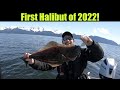 First Halibut of 2022! Alaskan Halibut Fishing - April 2022