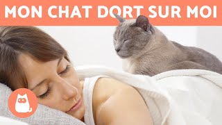 Pourquoi MON CHAT dortil sur MOI ?