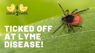 TICKed Off at Lyme Disease!