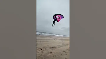 Could Be Fun 