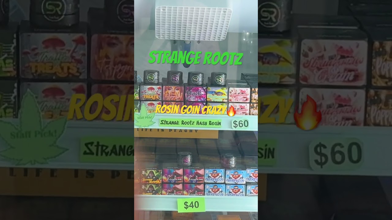 Endless Rosin Choices 😮‍💨😮‍💨 