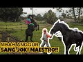 OM RUDI PANTAU JOKI LEGENDA INDONESIA MELATIH DUA EKOR KUDA JENIS THOROUGHBRED DAN G4 !!!!!