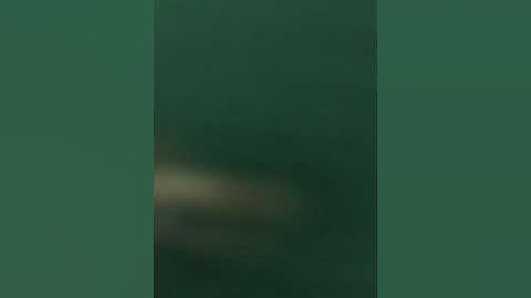 صلاة التراويح ١ رمضان ١٤٤٠ سورة الفاتحة ومن أول سورة البقرة إلى آية ٦١