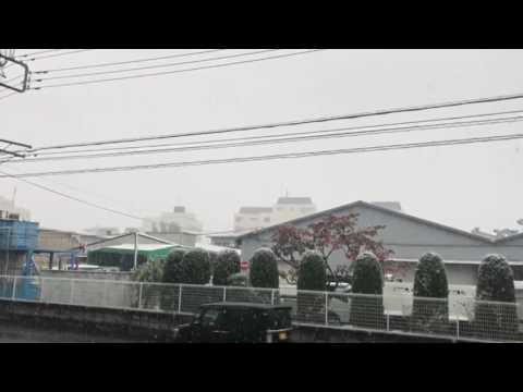 2016東京で11月に54年振り雪