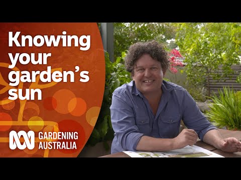 Video: Sužinokite daugiau apie visą saulę sode – kaip efektyviai naudoti saulėje augančius augalus