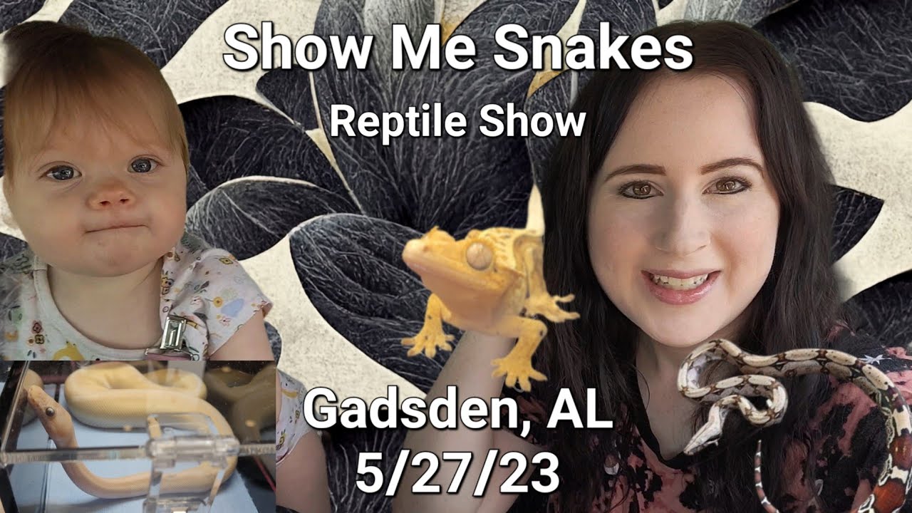 Show Me Snakes Gadsden, AL! 5/27/23 🐍 - YouTube