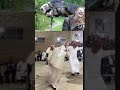 أغبى لحظات ما بتنعاد