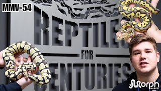 Famous Ball Python Breeder Facility Tour Out Of South Africa Wealth