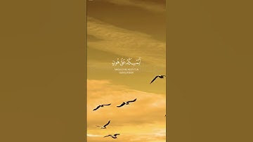 ياسر الدوسري سورة النحل #shortvideo #المصحف #سورة النحل