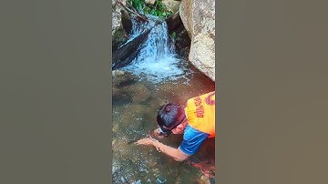 Bắt cá suối #shorts