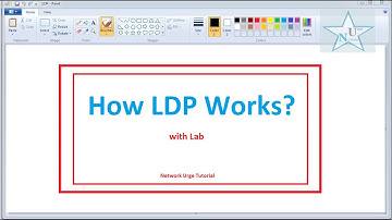 How LDP Works