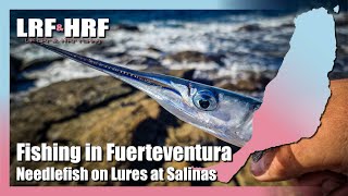 Fishing In Fuerteventura: Needlefish on Lures at Salinas