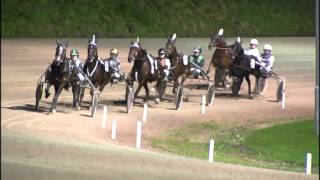 Vidéo de la course PMU PRIX PETER VELDINK